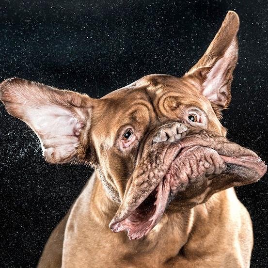 Posting the best slow motion, time-lapse, science, animal and funny videos on Twitter. We do not claim the rights to the videos.