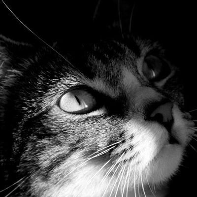 4c7bf3db9a7b4b7's profile picture. 