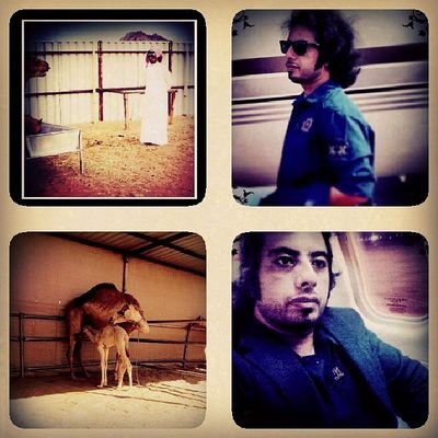 ‏‏لا تعليق