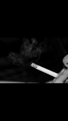 El reggae en las venas y la sangre verde .    Swan , Rapsus .™         More love .