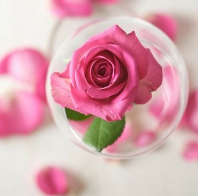 صَبَرَا يَا آمنياتِي ,,   هُنَاكَ ربُّ كَرَيْمِ قَادِرِ عَلَى كُلَّ شِي