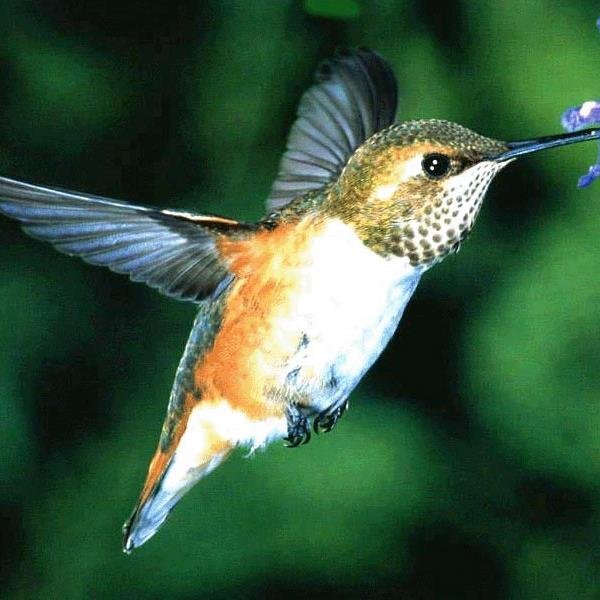 ElinaTignier's profile picture. 