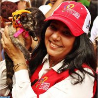 Dinorah Villasmil (@dinorahevb) 's Twitter Profile