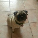 Tara Cline - @tcline921 - Twitter