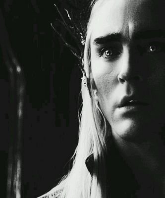 So go, stay here and rot. One hundred years is a mere blink in the life of an elf! I'm patient! I can wait! (18+ Pansexual Ms/MV Mc)