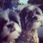 GummyAndChewie's profile image