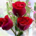 Shafiq Butt - @ShafiqButt7 - Twitter