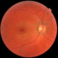 Dr Niall MacDougall (@dr_niall) 's Twitter Profile Photo Dr Niall MacDougall (@dr_niall) 's Twitter Profile Photo