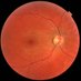 Dr Niall MacDougall (@dr_niall) Twitter profile photo Dr Niall MacDougall (@dr_niall) Twitter profile photo