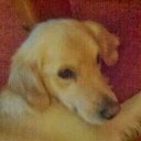 Daniel Dreyer - @danielsam1998 - Twitter