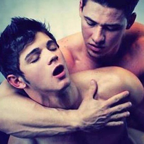 Gay porn nervous game Clean site vanity shemale model