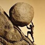 alireal16's profile picture. 