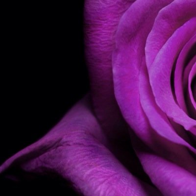 Softwaredevel14's profile picture. 