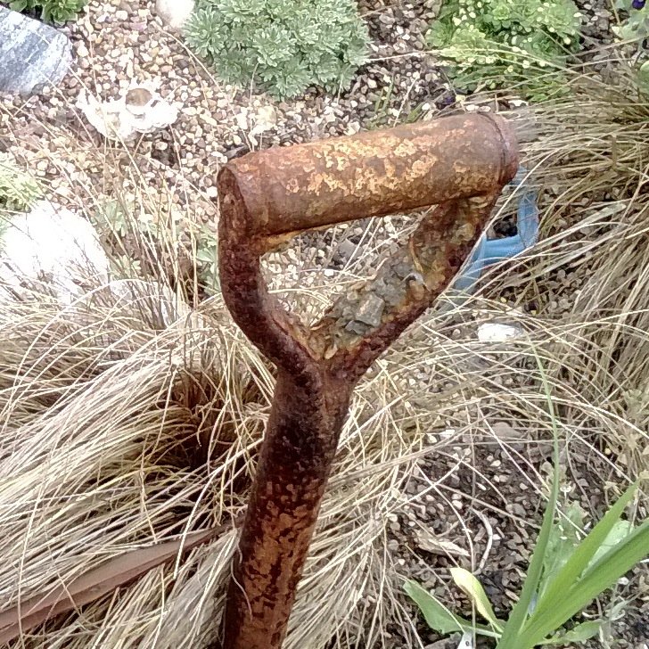 Grower. Allotmenteer. Artist. Tweets from #rosy_naylor
