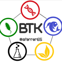 sandra ferrer (@sferrer65) 's Twitter Profile Photo