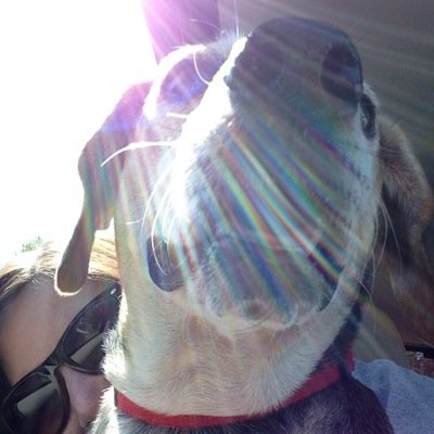 csmac66's profile picture. Life is good.