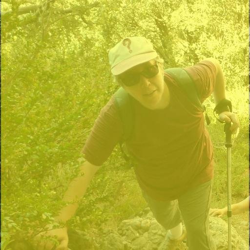 mteresavernet's profile picture. Tècnic d'arxiu a la Universitat de Barcelona. Terrassa (Catalunya)