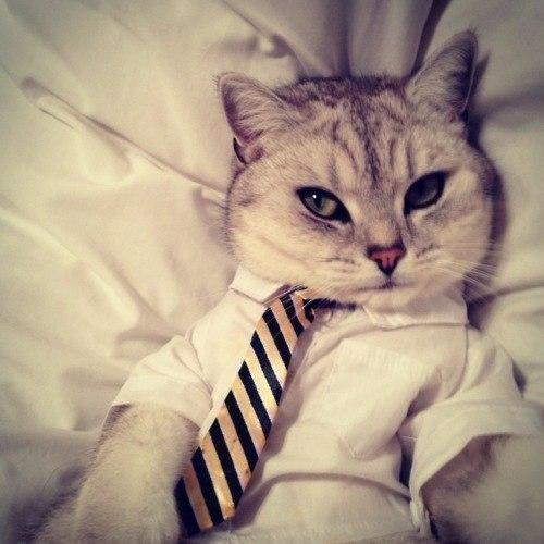 #взаимныйфолловинг #читаювзаимно #читаю #followback #ФолловлюВсехВзаимно