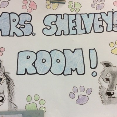 MSHelvey1's profile picture. 