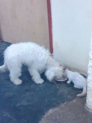 isabelsojo1's profile picture. 