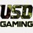 ACE_gaming131's profile image