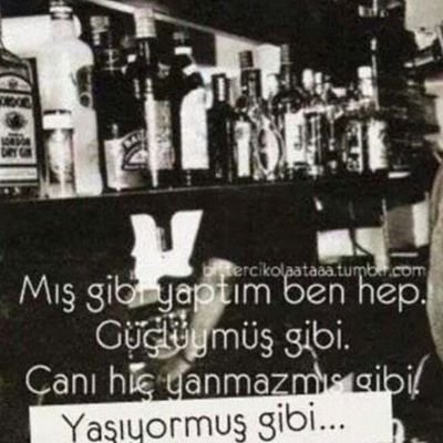 akkoyun76's profile picture. 