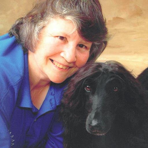 Critter connection for area real estate.  Helping Sellers and Buyers  dog trainer, sighthounds.. Funny, smart, experienced at Century 21 Covered Bridges Realty.