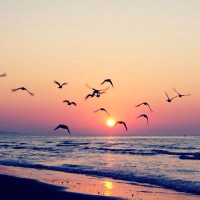 alison_lin35's profile picture. ✌️❤️☀️