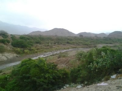 oommaarrss301's profile picture. 