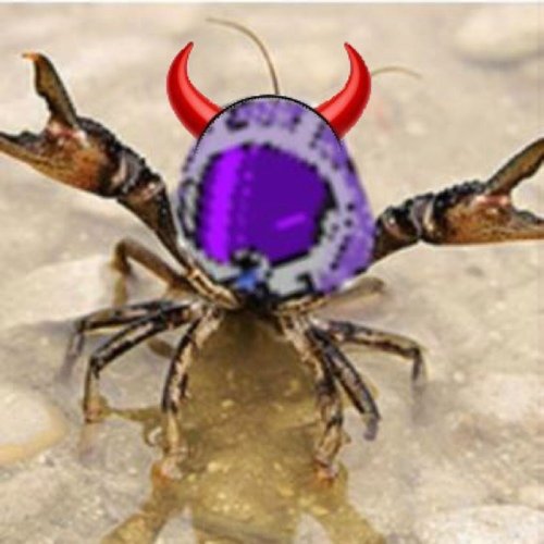 The type of person that will go along with being a crab because of a stupid CrawBrad joke many years ago. Currently wasting time doing stupid stuff.