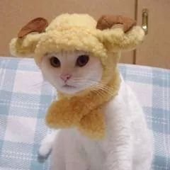 MaznMoher's profile picture. 