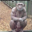 Andy Coe - @andycoe2806 - Twitter