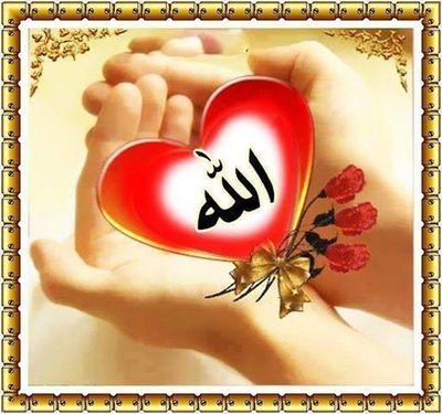 ‏‏‏‏‏‏‏‏‏أم لطفلتين هما الشمس والقمر لحياتي تأسرني الطفولة،وتجذبني الحياة للأجمل بإذن الله أسعى لتحقيق ذاتي وحسب ونشر الجميل بين الناس