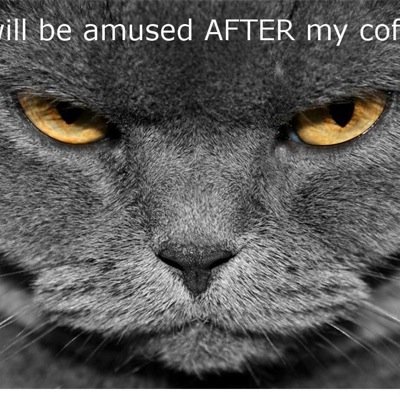 ksutt10's profile picture. 