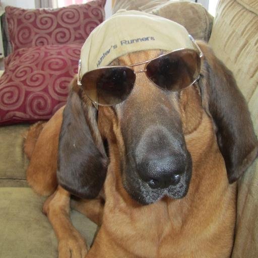 MFitz5780's profile picture. 