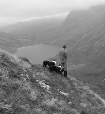 Self employed shepherd, sheep shearer in the Lake District and crook yfc member