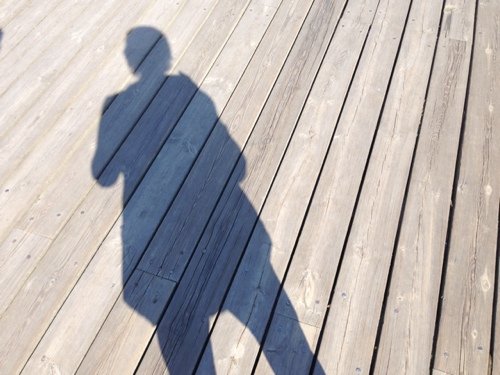 _Petrich's profile picture. This Station Is Non‐Operational