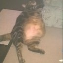 marie whitman - @ree42whitman - Twitter