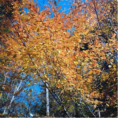 ButzAdnerb's profile picture. 