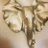 amycoffee12's profile image