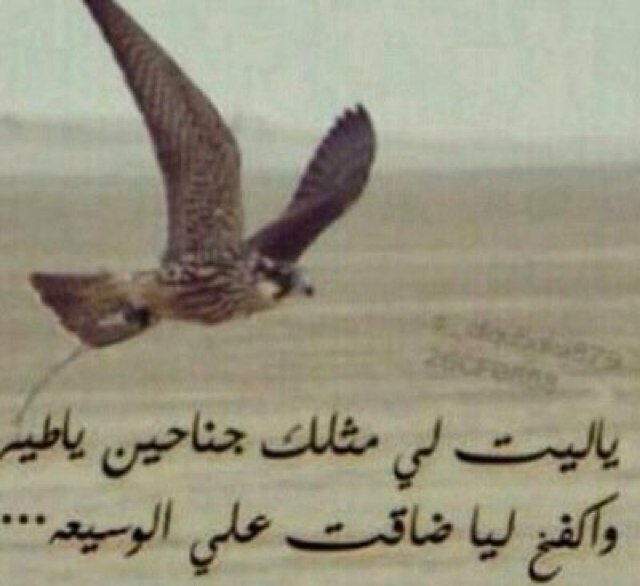 استغفر الله العظيم واتوب اليه