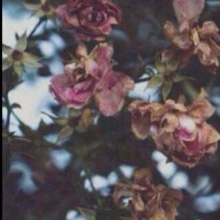 20439_55's profile picture. لا اله الا الله محمد رسول الله