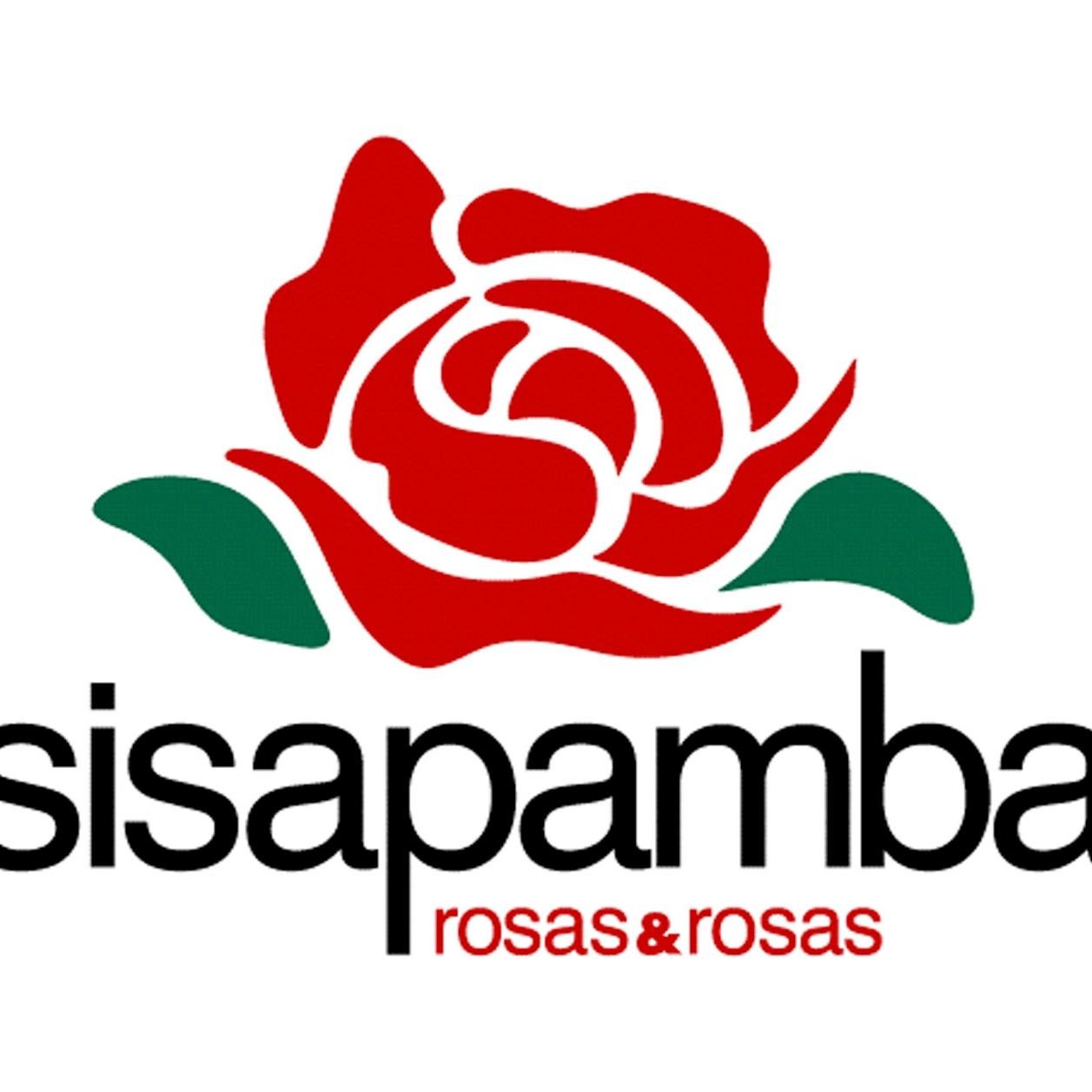 sisapamba's profile picture. We are working to bring your loved ones outstanding roses that open and last in a perfect state.