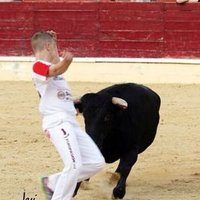 Daniel Fonseca (@danielfonseca67) 's Twitter Profile