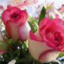 elisa suarez - @elisasuarezr - Twitter