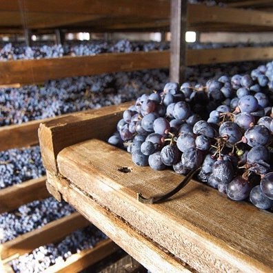 For lovers of fine wine in general, Amarone in particular, and appreciation for the land it came from.