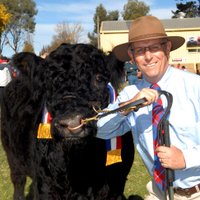 Jason Vials (@jasonvials) 's Twitter Profile