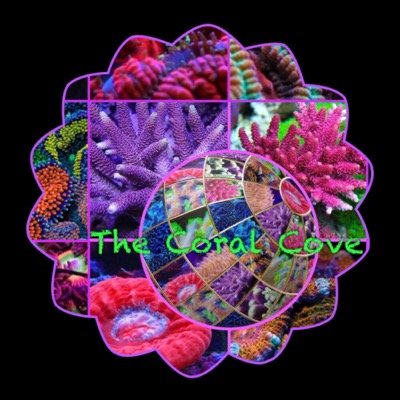 TheCoralCove offering a wide range of coral colonies & coral frags, marine inverts & fish. Run by Marine enthusiasts for Marine enthusiasts, go take a look!