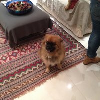 MariaLovedlondon (@marialovelondon) 's Twitter Profile