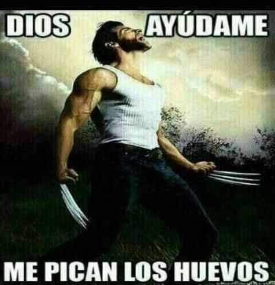 Vamo reirnos un rato carajo! Buen rollito!